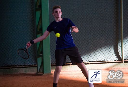 Descrição da Imagem 1