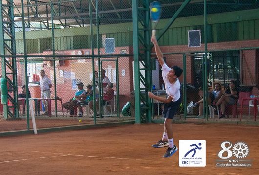 Descrição da Imagem 1