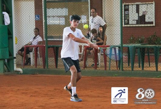 Descrição da Imagem 1