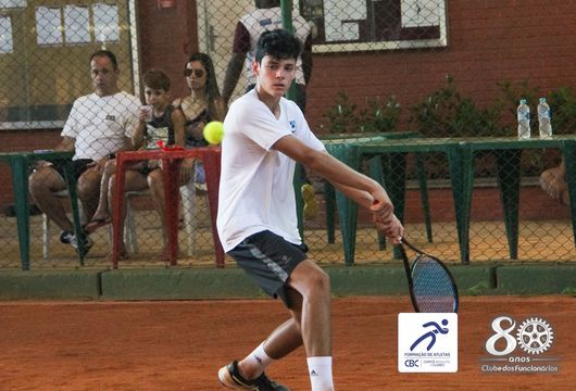 Descrição da Imagem 1