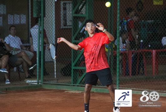 Descrição da Imagem 1