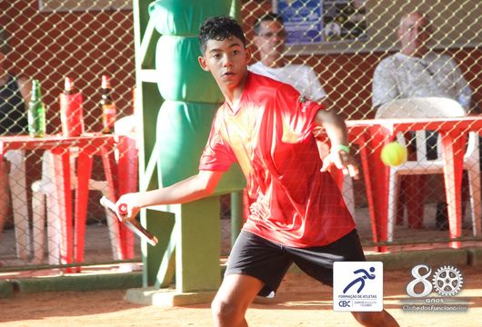 Descrição da Imagem 1