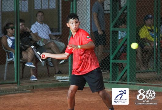 Descrição da Imagem 1