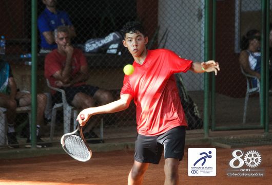 Descrição da Imagem 1