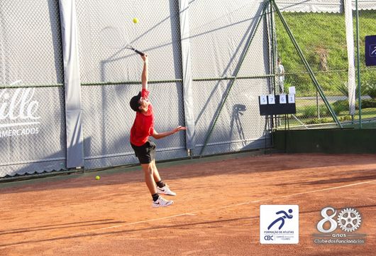 Descrição da Imagem 1