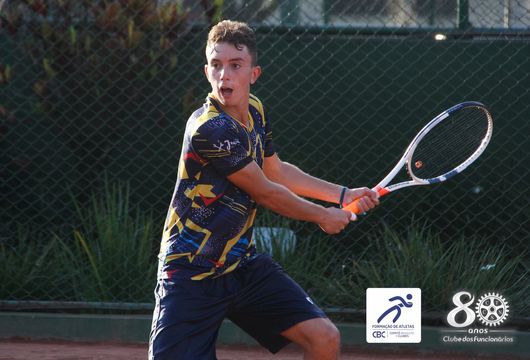 Descrição da Imagem 1