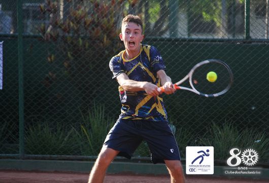 Descrição da Imagem 1