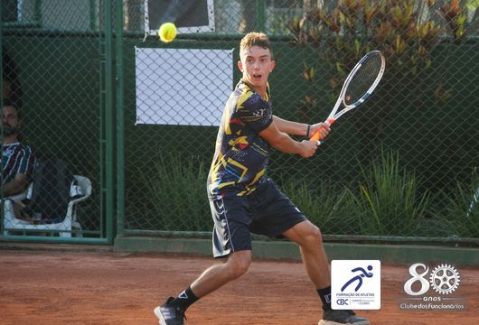 Descrição da Imagem 1