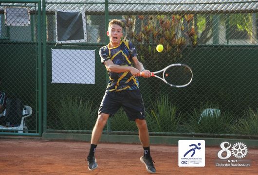 Descrição da Imagem 1