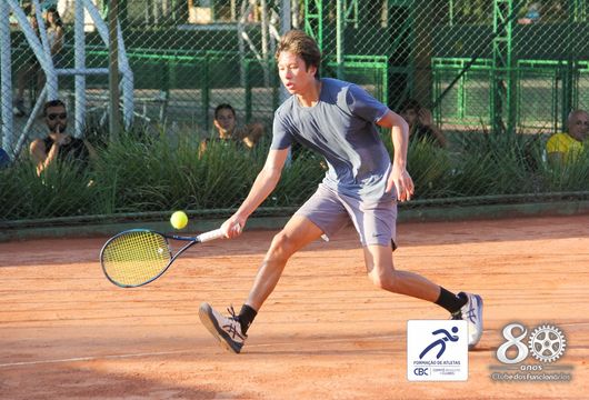 Descrição da Imagem 1