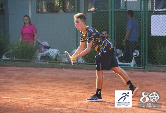 Descrição da Imagem 1