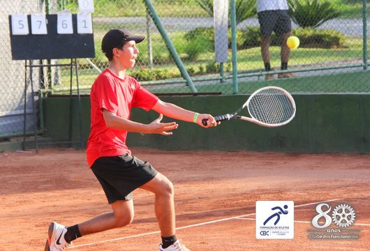 Descrição da Imagem 1