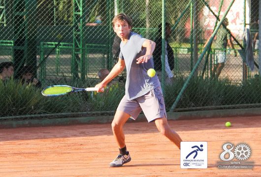 Descrição da Imagem 1