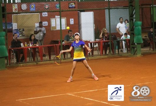 Descrição da Imagem 1