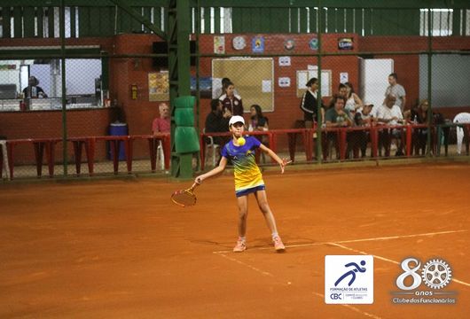 Descrição da Imagem 1