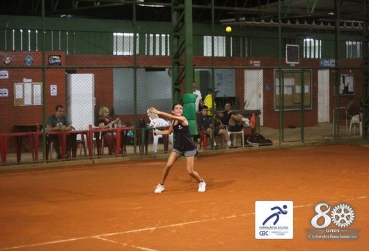 Descrição da Imagem 1