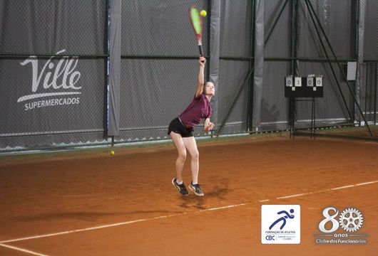 Descrição da Imagem 1