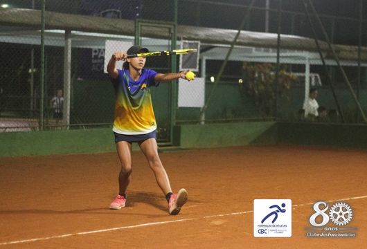 Descrição da Imagem 1