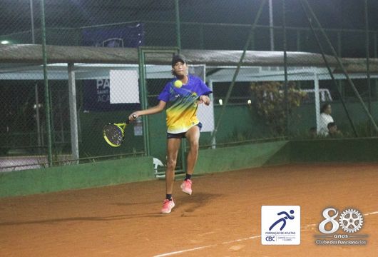 Descrição da Imagem 1