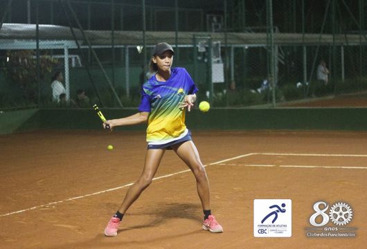 Descrição da Imagem 1