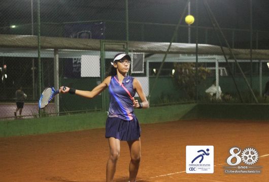 Descrição da Imagem 1