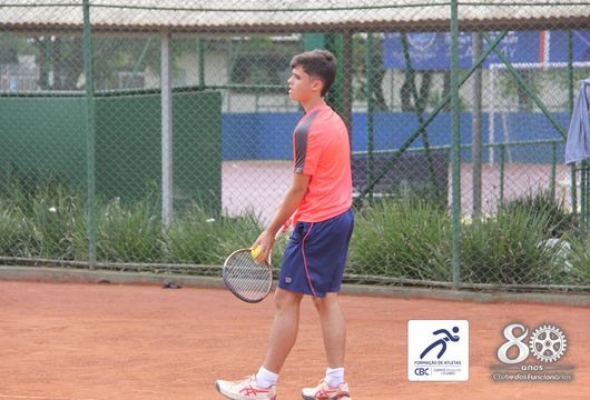 Descrição da Imagem 1