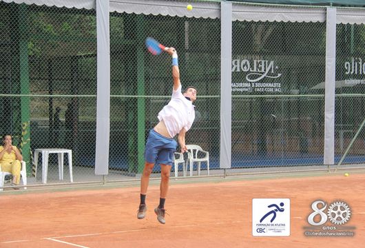 Descrição da Imagem 1