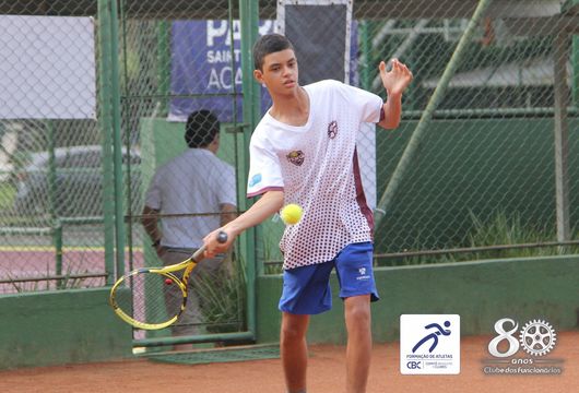 Descrição da Imagem 1