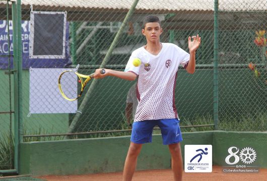 Descrição da Imagem 1