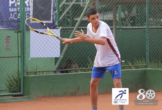 Descrição da Imagem 1