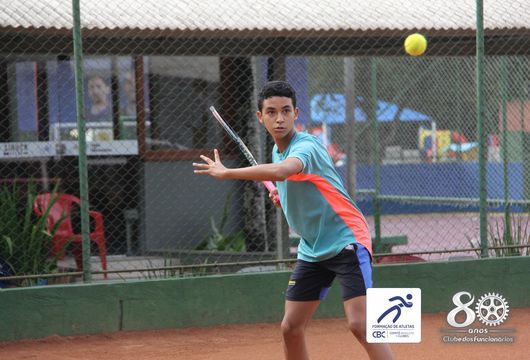 Descrição da Imagem 1