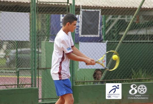 Descrição da Imagem 1