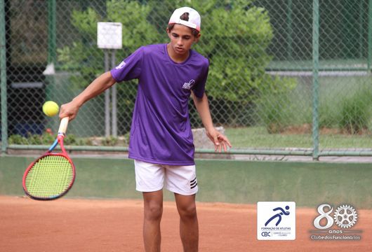 Descrição da Imagem 1