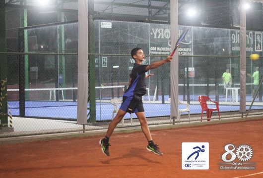 Descrição da Imagem 1