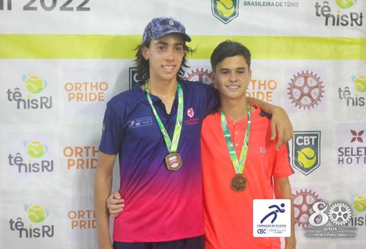 Descrição da Imagem 1