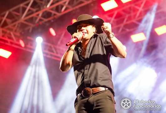 Descrição da Imagem 1