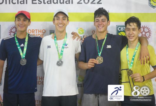 Descrição da Imagem 1