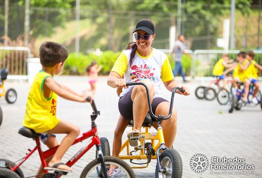 Descrição da Imagem 1