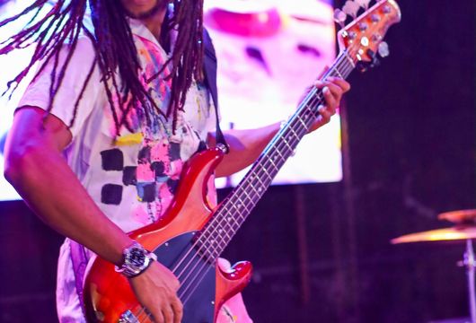 Descrição da Imagem 1