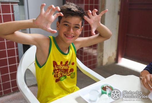 Descrição da Imagem 1