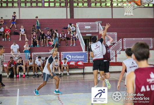 Descrição da Imagem 1