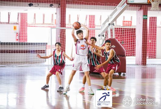 Descrição da Imagem 1