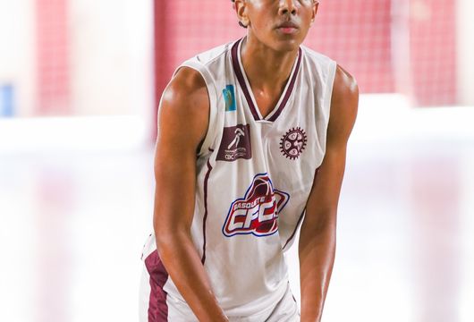 Descrição da Imagem 1