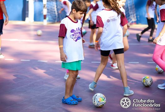 Descrição da Imagem 1