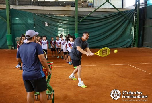 Descrição da Imagem 1