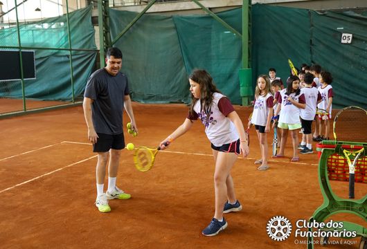 Descrição da Imagem 1