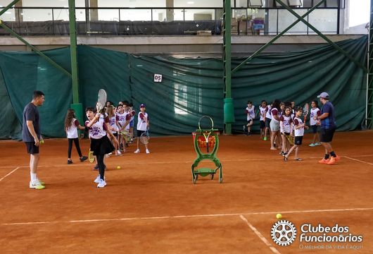 Descrição da Imagem 1