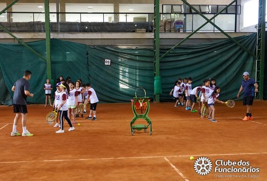 Descrição da Imagem 1