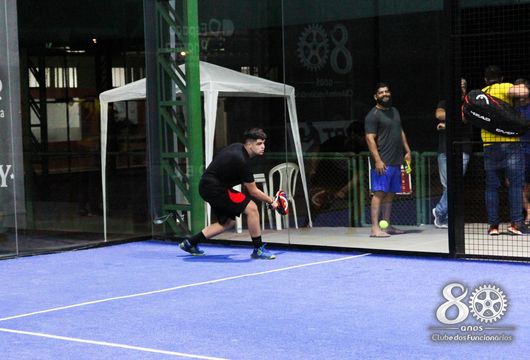 Descrição da Imagem 1