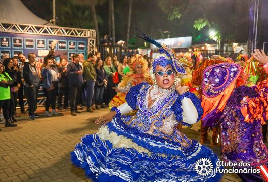 Descrição da Imagem 1